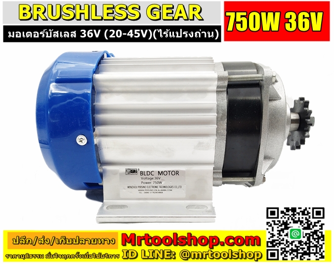 Brushless Motor DC 36V 750W